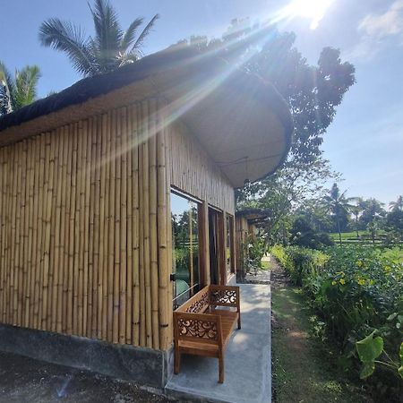 Sawah Ijen Hotel Licin ภายนอก รูปภาพ