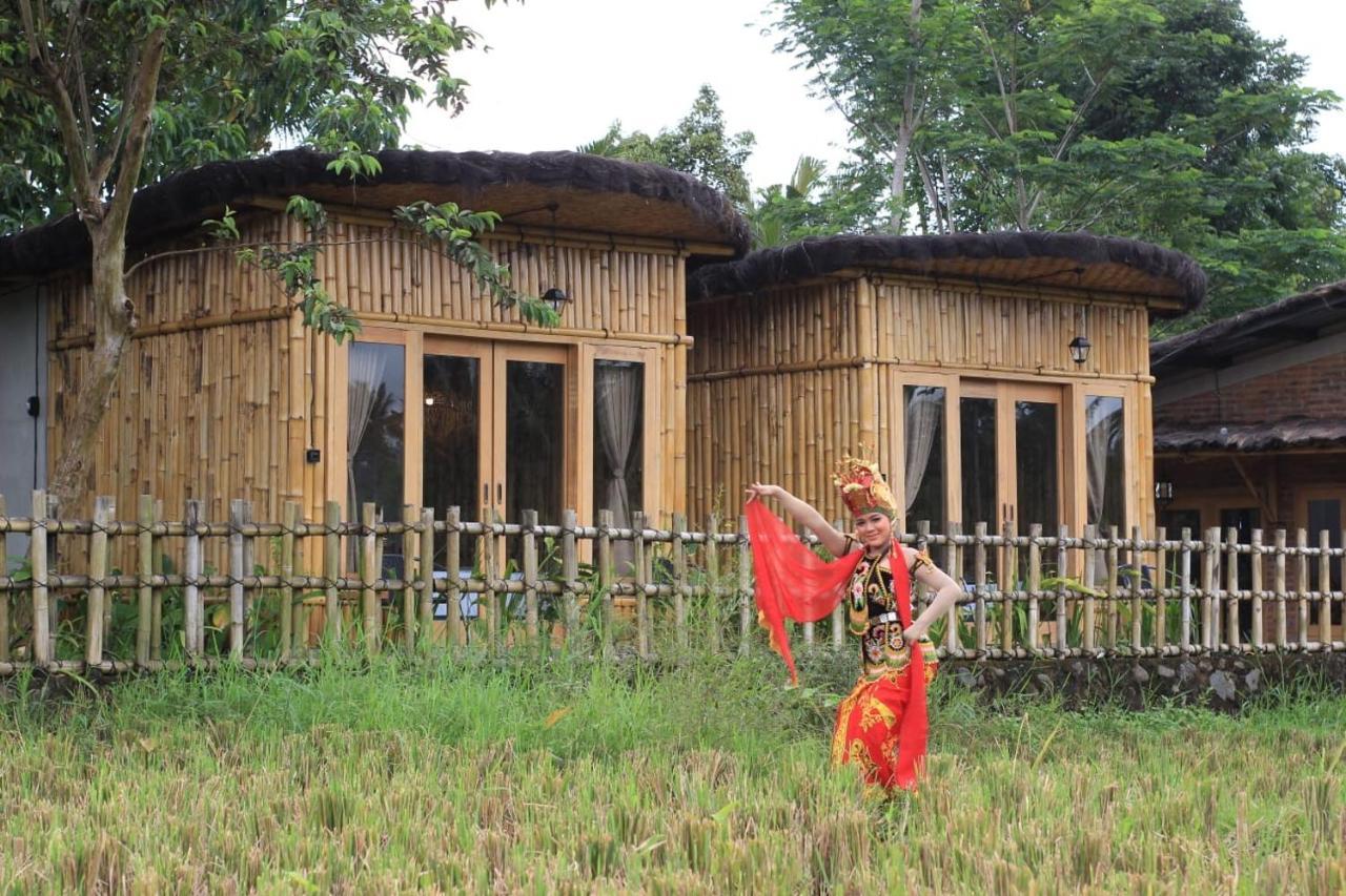 Sawah Ijen Hotel Licin ภายนอก รูปภาพ