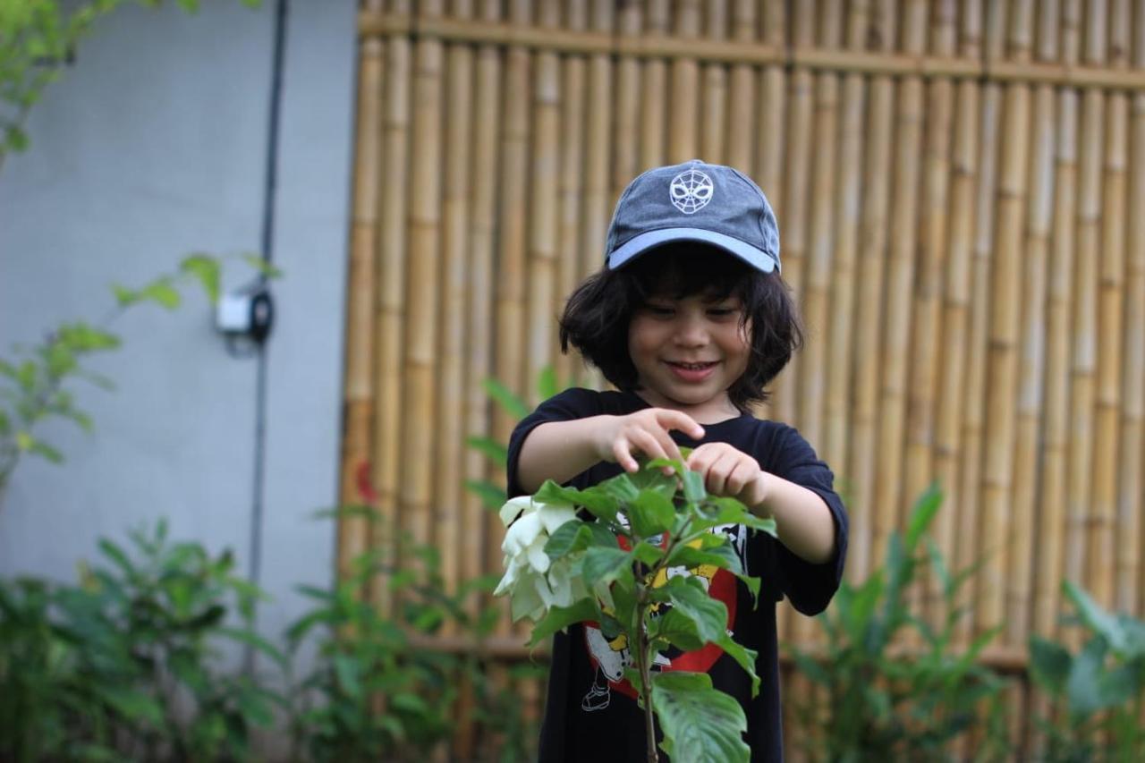 Sawah Ijen Hotel Licin ภายนอก รูปภาพ
