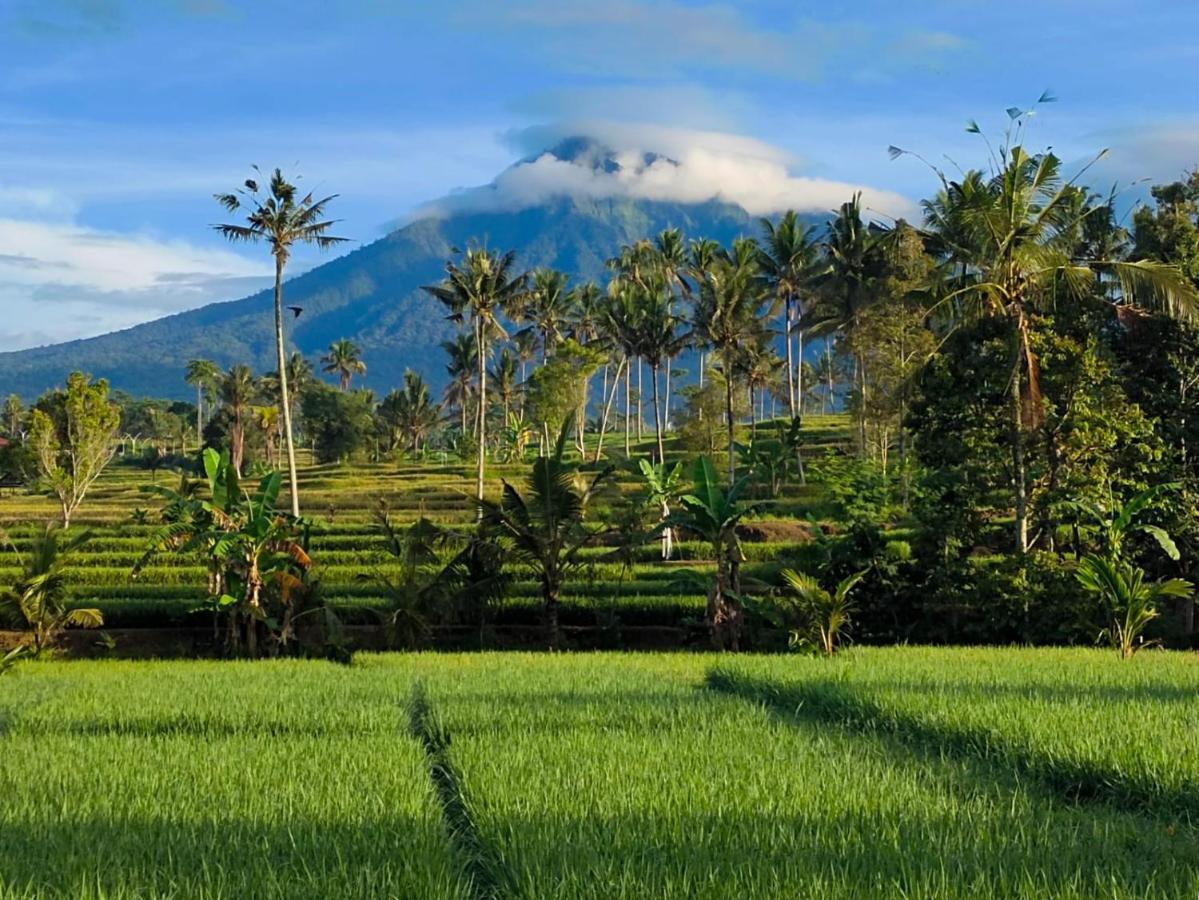 Sawah Ijen Hotel Licin ภายนอก รูปภาพ