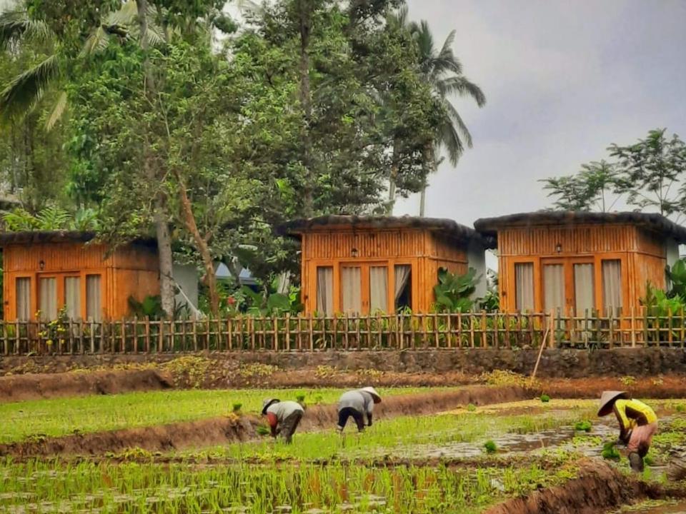 Sawah Ijen Hotel Licin ภายนอก รูปภาพ