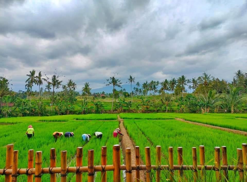 Sawah Ijen Hotel Licin ภายนอก รูปภาพ